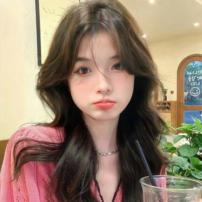 战鸭突击队封面