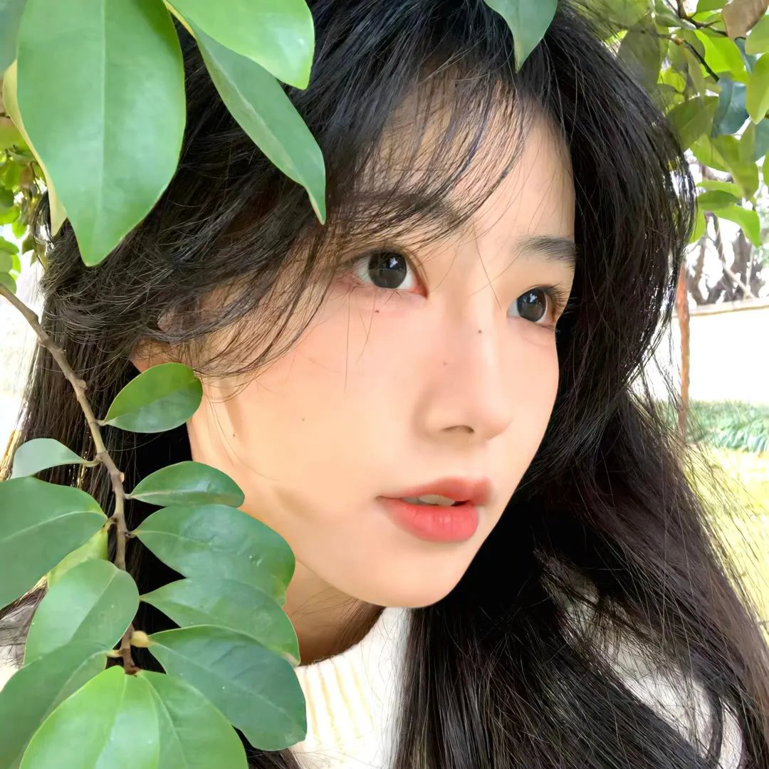 白痴恋人封面